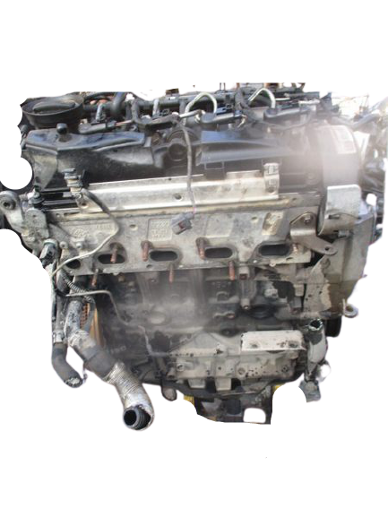 Volkswagen Golf Serie 6 Polo Passat Skoda Fabia Audi A1 Seat Leon 1600 Diesel anno 2008 al 2012 Blocco motore CAY