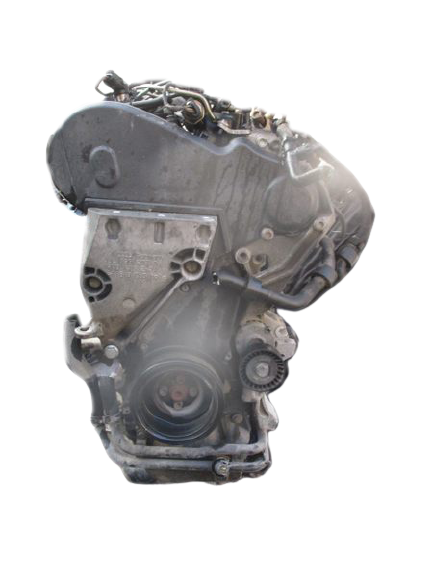 Volkswagen Golf Serie 6 Polo Passat Skoda Fabia Audi A1 Seat Leon 1600 Diesel anno 2008 al 2012 Blocco motore CAY