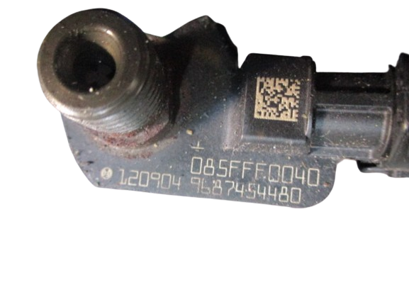 jaguar XF Land Rover Freelander R.R Evoque Ford Peugeot Citroen 2200 Diesel anno dal 2011 al 2016 Iniettori 9687454480 0445116043