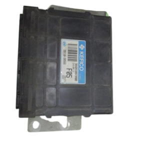 Hyundai Trajet   anno dal 1999 al 2008 ECU  Centralina motore 39110-38566   9040930023A00