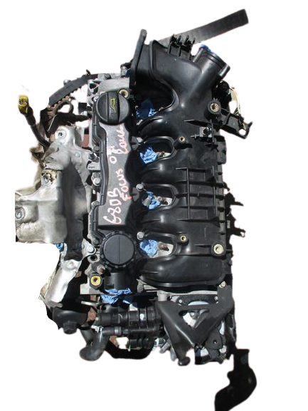 Ford Focus 1600 Diesel anno 2008 Blocco motore G8DB 80kw