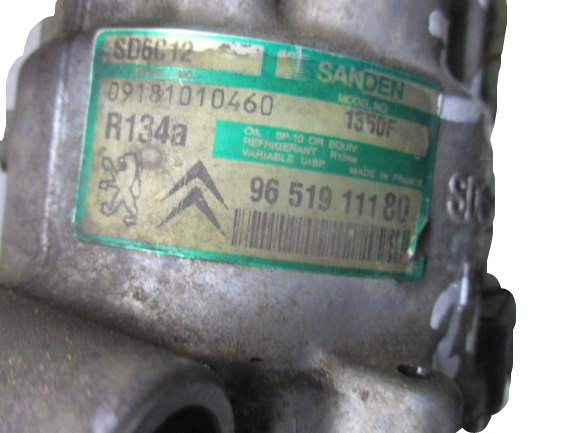 Peugeot 307 206 308 407 Expert Citroen C4 C5 Xsara Picasso anno dal 2001 al 2009 Compressore aria condizionata 9651911180