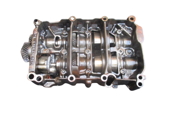 Volkswagen e Audi 2000 Diesel Pompa Olio con bilancieri  03G103535B 03G115169E