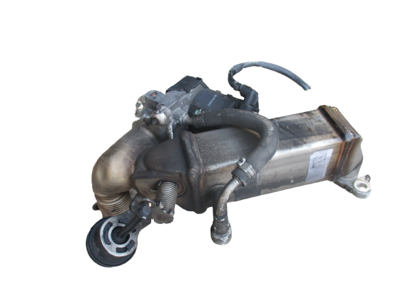 Bmw Serie 1 E87 anno dal 2004 al 2013 Valvolva EGR 781016604